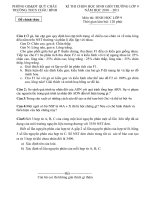 đe thi HSG cap truong 2010-2011