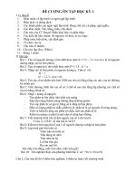 Đề cương ôn tập HK 1 - Tin 11