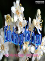 MRVT: Quê hương...