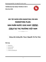 Chiến lược marketing của pepsi tại việt nam 