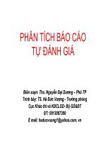 PHÂN TÍCH BÁO CÁOTỰ ĐÁNH GIÁ