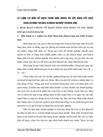 Lý luận cơ bản về hạch toán bán hàng và xác định kết quả kinh doanh trong doanh nghiệp thương mại.