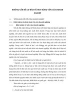 NHỮNG VẤN ĐỀ CƠ BẢN VỀ HUY ĐỘNG VỐN CỦA DOANH NGHIỆP