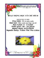 hoạt động khám phá xã hội mùa xuân