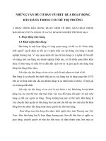 NHỮNG VẤN ĐỀ CƠ BẢN VỀ HIỆU QUẢ HOẠT ĐỘNG BÁN HÀNG TRONG CƠ CHẾ THỊ TRƯỜNG