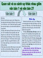 Dinh dang van ban (Cuc hay)