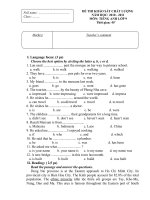 Đề thi KS đầu năm TA9 10-11