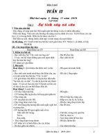 giáo an 2 tuần 12 CKT kỉ năng nha