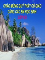 bài 8- nước Mĩ theo chuẩn kiến thức kĩ năng