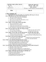 Đề kiểm tra học kỳ I CD 7