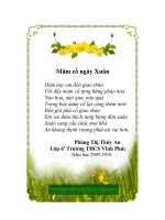 Thơ mừng Xuân-Thúy An 6/1-2009-2010