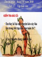 viet thu tuan 17