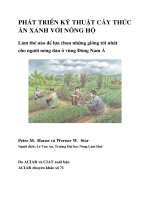 Phát triển kỹ thuật cây thức ăn xanh với nông hộ