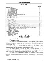 SKNN AmNhac Full2010