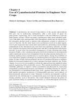 Use of Cyanobacterial Proteins to Engineer New Crops