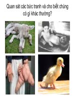 bai 22:đột biến gen