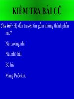 Cân bằng nội môi_ Sinh hoc 11