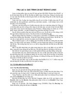 Quá trình cài đặt Reahat-Linux