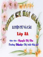 LTVC-t19- Nhan hoa. on cach dat va tra loi cau hoi Khi nao