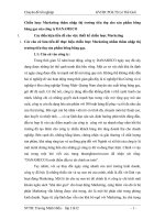 Chiến lược Marketing thâm nhập thị trường tiêu thụ cho sản phẩm bông băng gạc của công ty DANAMECO