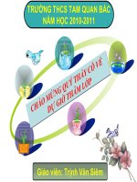 CÂY CÓ HÔ HẤP KHÔNG?