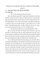 TỔNG QUAN VỀ NGUỒN VỐN FDI VÀ LĨNH VỰC PHÂN PHỐI BÁN LẺ