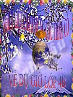 yy061- T12 - Diali 4