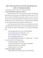 THỰC TRẠNG HẠCH TOÁN TIÊU THỤ THÀNH PHẨM TẠI CÔNG TY TNHH HOÀNG BÌNH