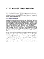 SEO: Chuyên gia thăng hạng website SEO (Search Engine Optimization )