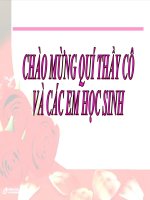 VIỆT NAM TRONG NĂM ĐẦU SAU THẮNG LỢI CỦA CUỘC KHÁNG CHIẾN CHỐNG MỸ CỨU NƯỚC