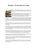 Shizuoka - ốc đảo bình yên ở Nhật