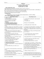 giáo án lớp 3 tuần 13