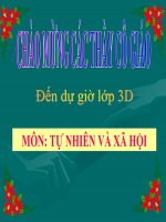 CƠ QUAN THẦN KINH LỚP 3