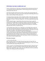 Về Hà Nam, lạc bước nơi Bát cảnh sơn