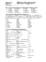 kiem tra HK I Anh 6 hot