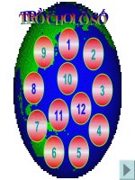 ngoai khóa on tap  su 8