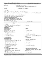 giáo lớp 2  tuần 12CKTKN