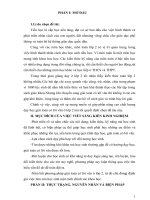 SKKN mới nhất./.