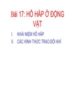 bài 17 hô hấp ở động vật
