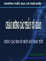MTL5- BÀI 8- MAU HINH TRU, HINH CAU