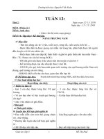 Giáo án 3-tuần 12-CKT-2010