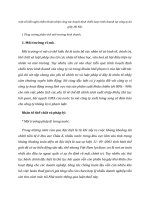 một số kiến nghị nhằm Hoàn thiện công tác hoạch định chiến lược kinh doanh tại công ty da giầy Hà Nội