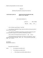 Mẫu Giấy chứng nhận đầu tư