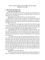 CƠ SỞ LÍ LUẬN VỀ KIỂM TOÁN VÀ KIỂM TOÁN CHU TRÌNH