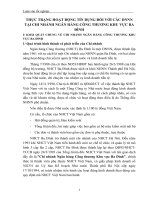 THỰC TRẠNG HOẠT ĐỘNG TÍN DỤNG ĐỐI VỚI CÁC DNNN TẠI CHI NHÁNH NGÂN HÀNG CÔNG THƯƠNG KHU VỰC BA ĐÌNH
