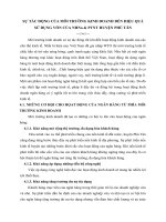 SỰ TÁC ĐỘNG CỦA MÔI TRƯỜNG KINH DOANH ĐẾN HIỆU QUẢ SỬ DỤNG VỐN CỦA NHNo & PTNT HUYỆN PHÚ TÂN