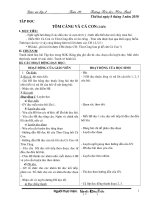 giao an lop 2 tuan 26