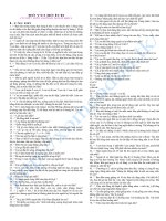 145 Câu đií vui bổ ích