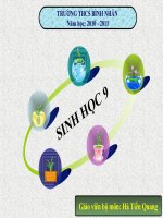 Tiết 33 Cong nghe gen