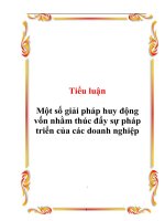 Tiểu luận Một số giải pháp huy động vốn nhằm thúc đẩy sự pháp triển của các doanh nghiệp